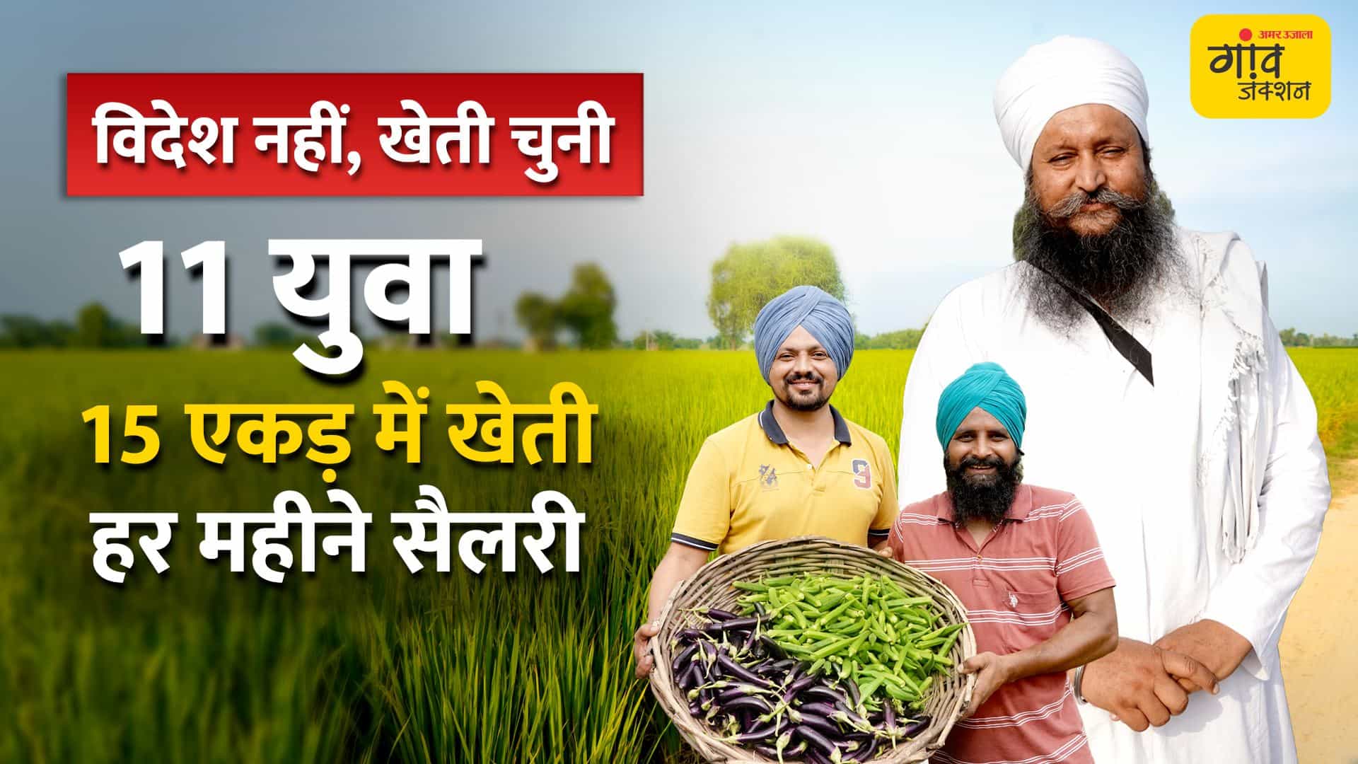 युवाओं ने 15 एकड़ में खेती से मासिक आमदनी का मॉडल खड़ा किया।