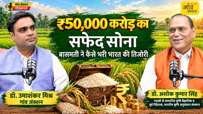 PODCAST: How has the world of Basmati changed? An exclusive conversation with Padma Shri Dr. Ashok Kumar Singh