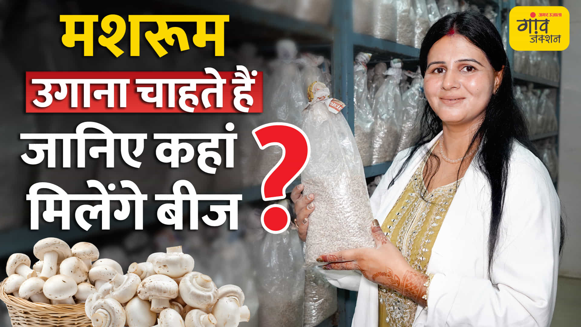 रोज 2.5 टन मशरूम स्पॉन