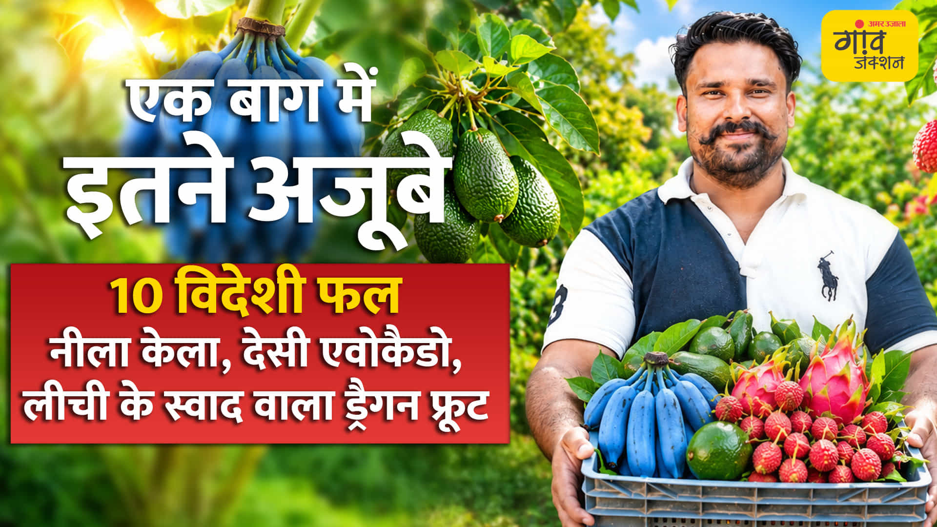 एक बाग में 10 तरह के विदेशी फल