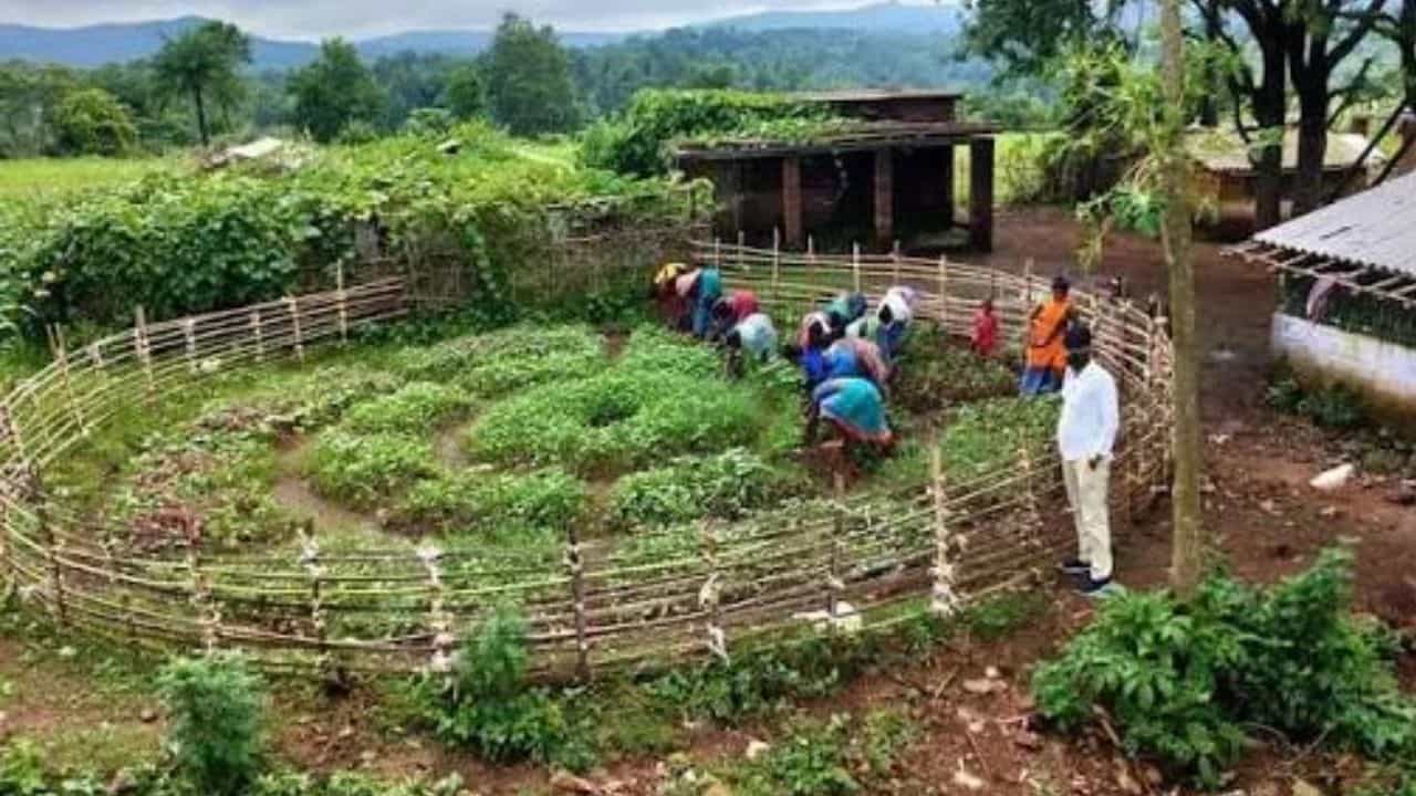 सांकेतिक तस्वीर