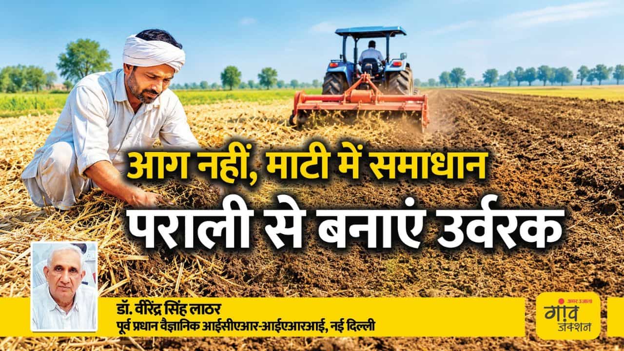 आग नहीं, माटी में समाधान, पराली से बनाएं उर्वरक