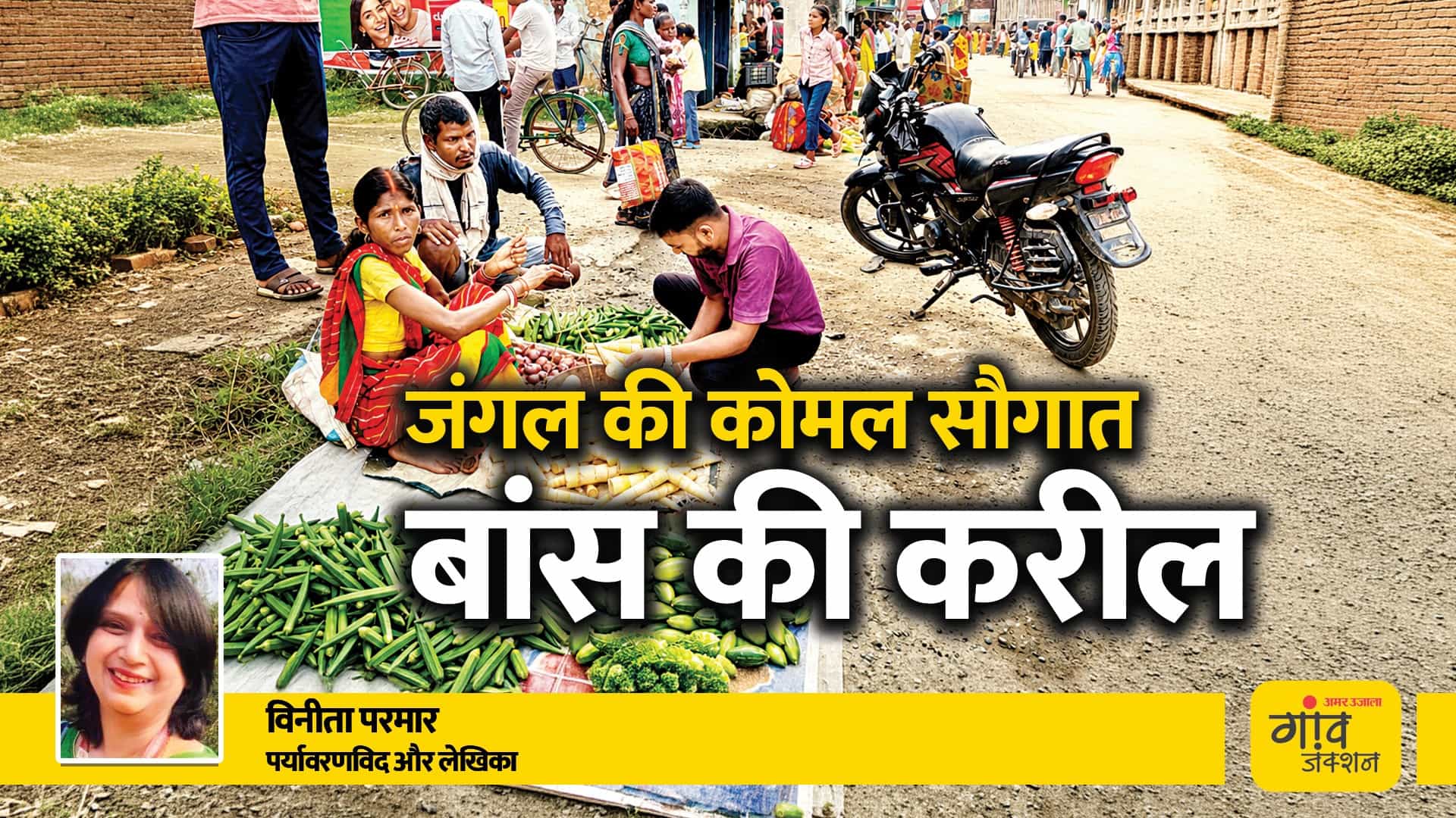 झारखंड के जगंलों में उगने वाली करील की बढ़ती मांग, आगामी समय के लिए पारंपरिक धरोहर के लिए खतरा है।