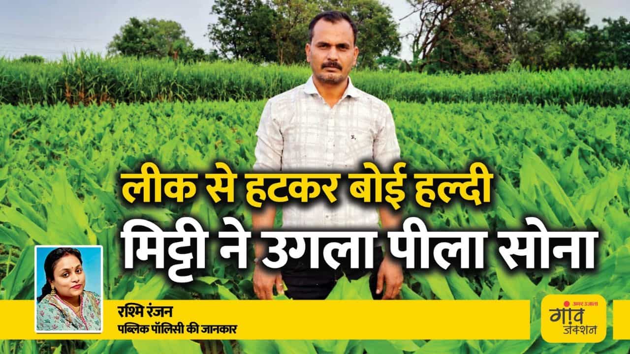 लीक से हटकर बोई हल्दी, मिट्टी ने उगला पीला सोना