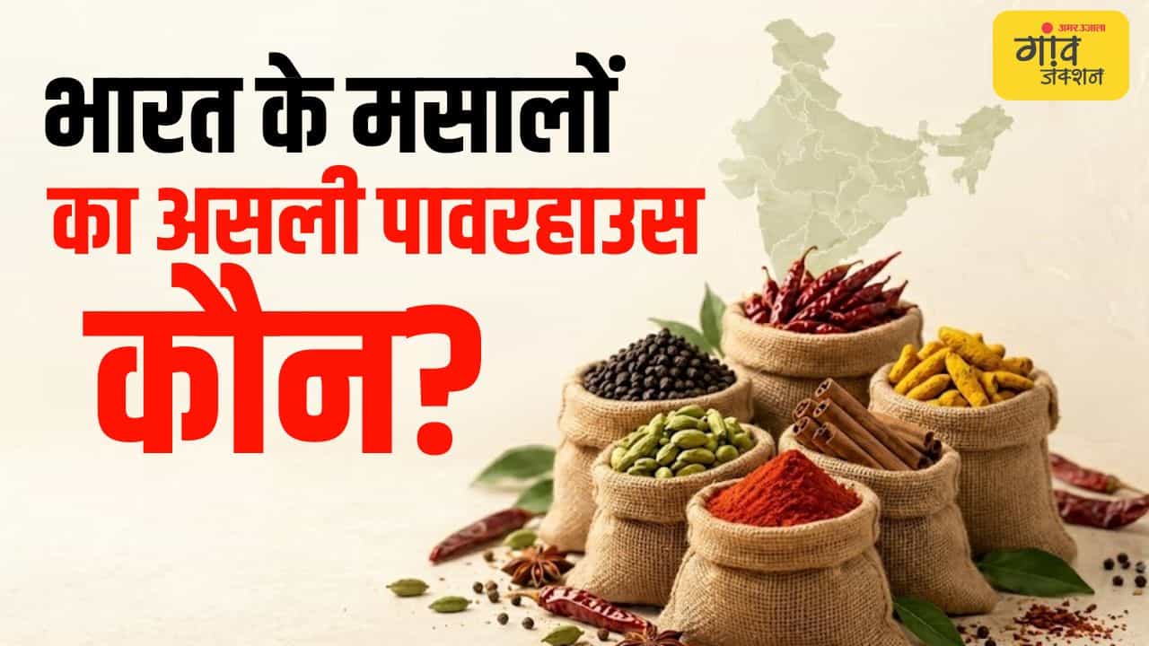 जानिए मिर्च, हल्दी, लहसुन और जीरे के बड़े उत्पादक राज्य
