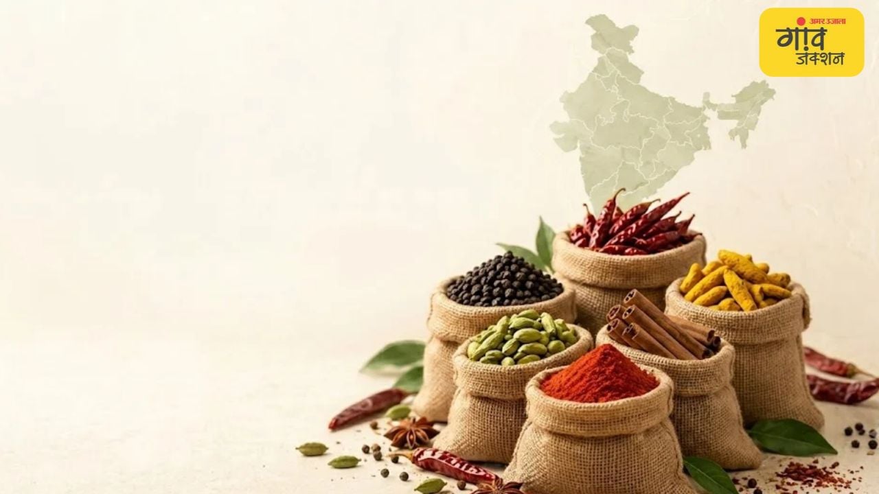 मसालों की खेती से किसानों को कारोबार के अवसर