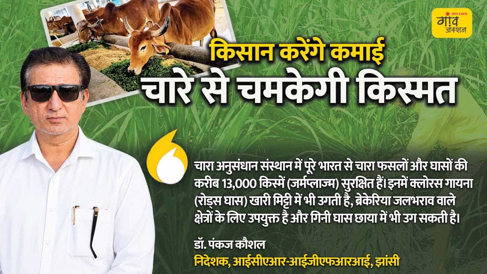 पशुपालक अपने पशु पर जो खर्च करता है, उसका 60 से 70 प्रतिशत चारे पर जाता है।