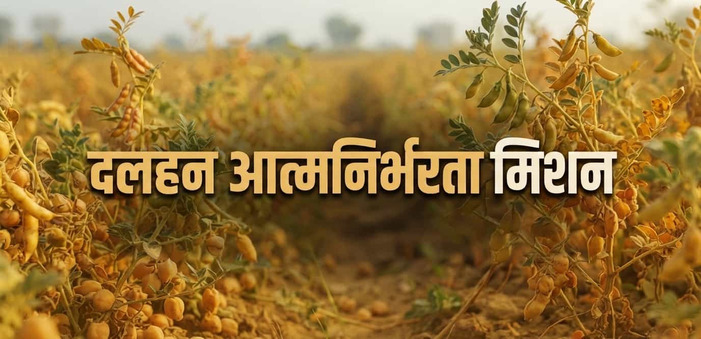 दलहन आत्मनिर्भरता मिशन की सफलता में शोध काफी मायने रखता है।