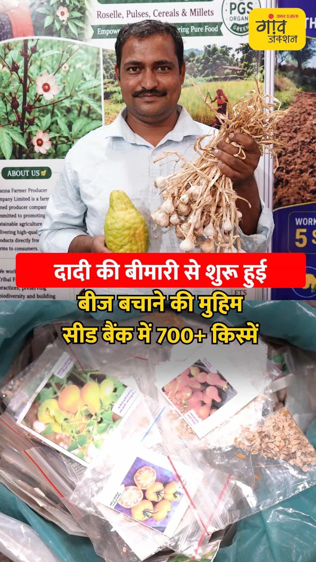 सीड बैंक में 700 से ज्यादा किस्में
