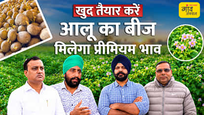 VIDEO: A new path to earnings from potato seeds, how can farmers start this high-value business?