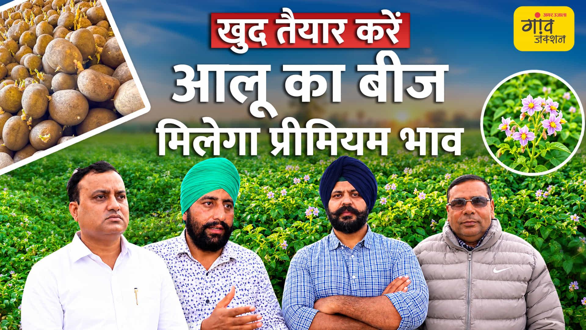 आलू के बीज से कमाई का नया रास्ता