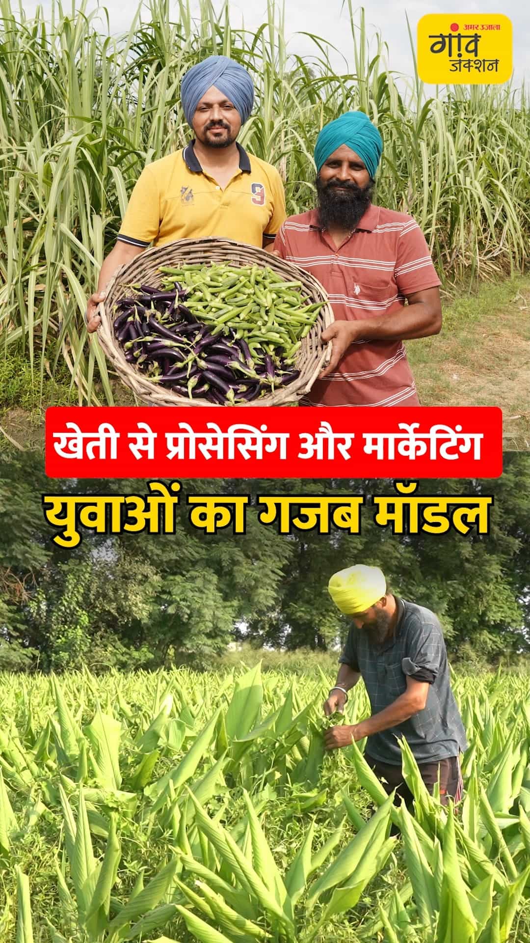 युवाओं ने खेती को बनाया बिजनेस।