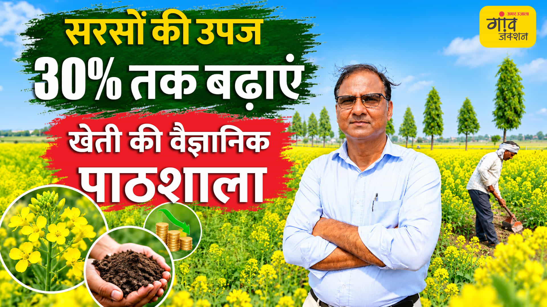 सरसों की बुवाई