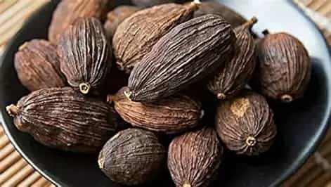 बड़ी इलायची की खेती में फायदे ही फायदे।