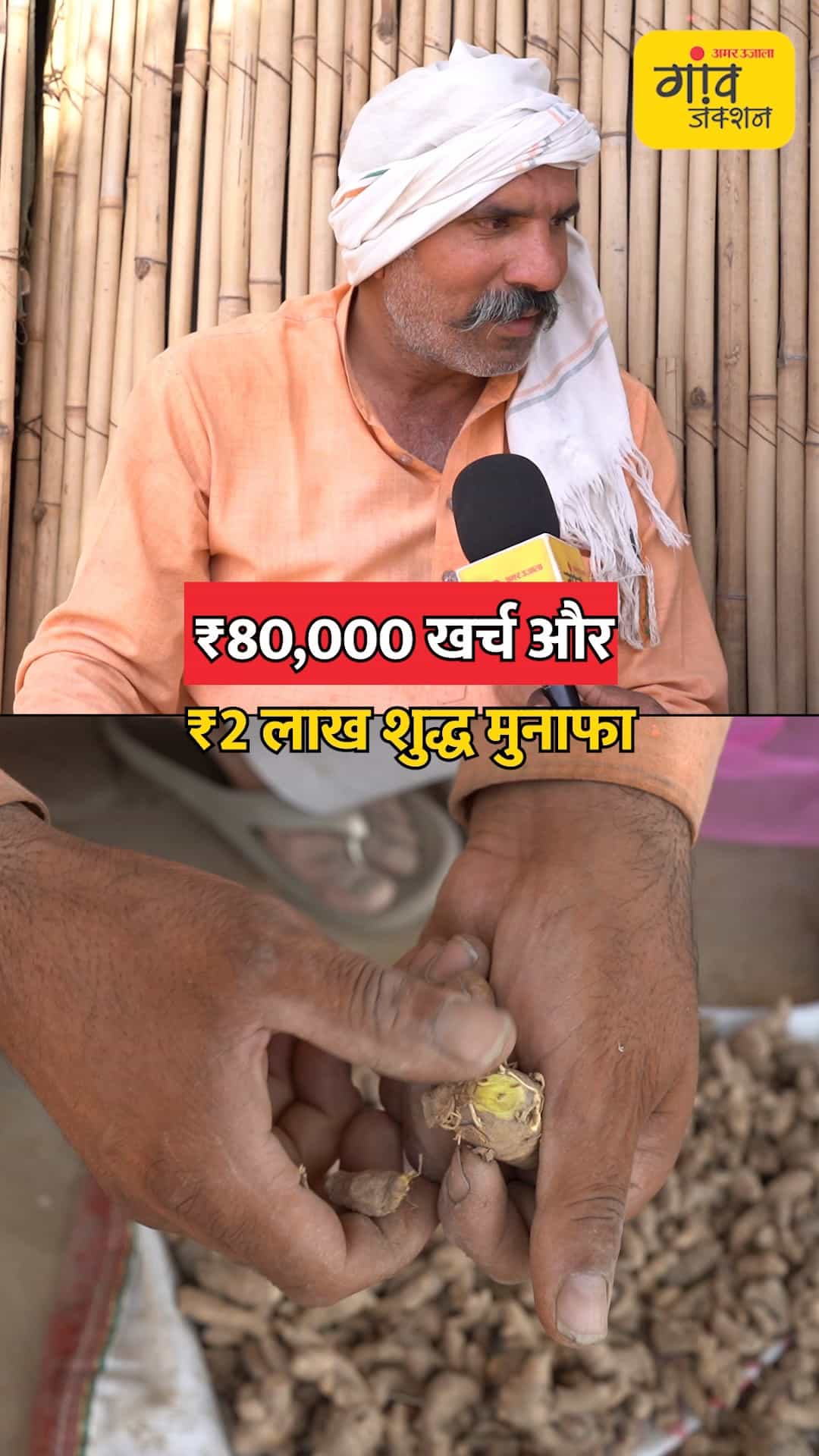 हल्दी की प्रोसेसिंग से बढ़ा मुनाफा