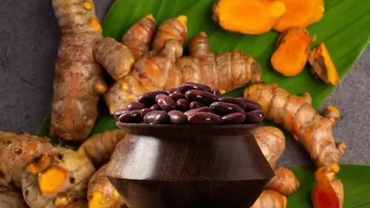 दुनिया के बाजारों में पहुंचेगी उत्तराखंड की हल्दी और चकराता राजमा
