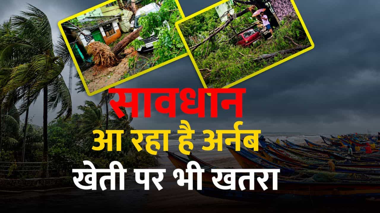 चक्रवात अर्नब का कहर