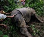 terror of hunters in kaziranga national park