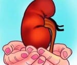 organ donations means gift of life 