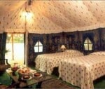 hptdc will provide luxurious tents to tourists 