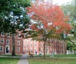 Harvard in new scandal over secret e-mail search