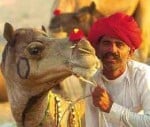 new theme for rajasthan tourism