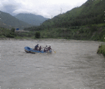 48 died from mansoon in madhyapradesh 