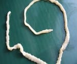 Worm out of a bottle of branded beverage company