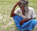  crops on Acquired land