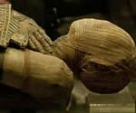 Egyptian Mummies Got Meat Dishes 