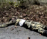 Sanjivani 108 ambulance service stoped after Naxal attack