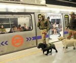6 news police stations at delhi metro