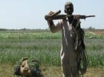Why are farmers commit suicide in Gujarat?