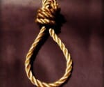 capital punishment to three brother in honor killing case