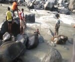 mandi incident: search operation started on seventh day at mandi