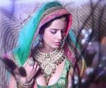 poonam pandey will be in helan's biopic base movie