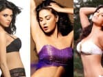 poonam pandey , shanti and nisha yadav in bigg boss 8