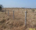 Kahanwwan, land, encroachments, Charanjit Kaur Bajwa, MLA, Kahanwwa, Gurdaspur