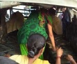 gang rape with girl and coversion in muzaffarnagar