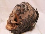 3000 year old skull recovered with hair still intact