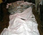 one accident and 40 death but no one can justice now.