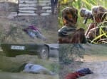 10 killed in encounter between army and militant