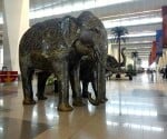  Indira gandhi international airport chosen best in world