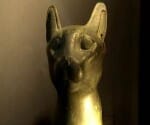 egyptian cat sale in 49 lack