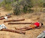 AP encounter case: Madras high court order on bodies.