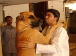 MNS chief Raj Thackeray's wife gets 65 stiches after dog bite