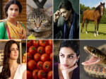 Bollywood Celebrities And Their Weird Phobias