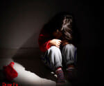 assistant director of obscene acts with a child in Durga Puja 