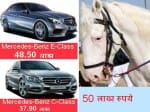 a horse, expensive to Mercedes also amazing firsts