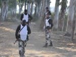 pathankot terror attack related big sensational exposure
